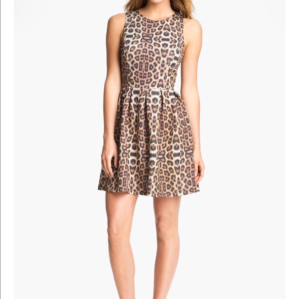 Beautiful Leopard Dress